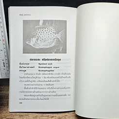 หนังสือ คู่มือสำหรับนักเลี้ยงปลาตู้มือใหม่ ปลาตู้ ฉบับปลาทะเล รูปที่ 10