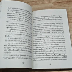 ถ้าอยากเป็นผู้แทน รูปที่ 8