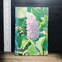 หนังสือ การใช้สมุนไพร เล่ม 1 รูปที่ 2