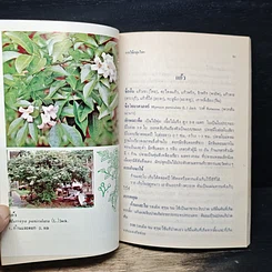 หนังสือ การใช้สมุนไพร เล่ม 1 รูปที่ 9