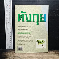 ตังกุย รูปที่ 2