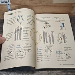 หนังสือ เคล็ดลับและมารยาทในโต๊ะอาหาร รูปที่ 9