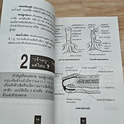 หนังสือ 111 คำถามเมื่อคุณเตะปี๊บไม่ดัง รูปที่ 11