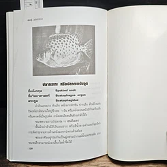 หนังสือ คู่มือสำหรับนักเลี้ยงปลาตู้มือใหม่ ปลาตู้ ฉบับปลาทะเล รูปที่ 9