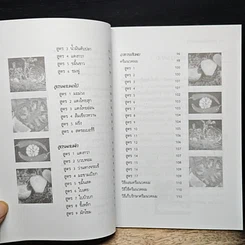 หนังสือ สวยใสด้วยยาสมุนไพร รูปที่ 9