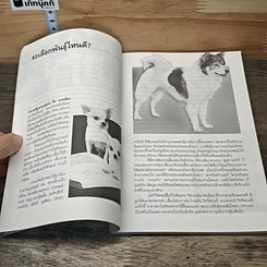 หนังสือ หมา (ไม่) หมา รูปที่ 8