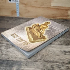 หนังสือ อนาพาธ เพื่อความไม่อาพาธของเหล่าภิกษุไทย รูปที่ 3