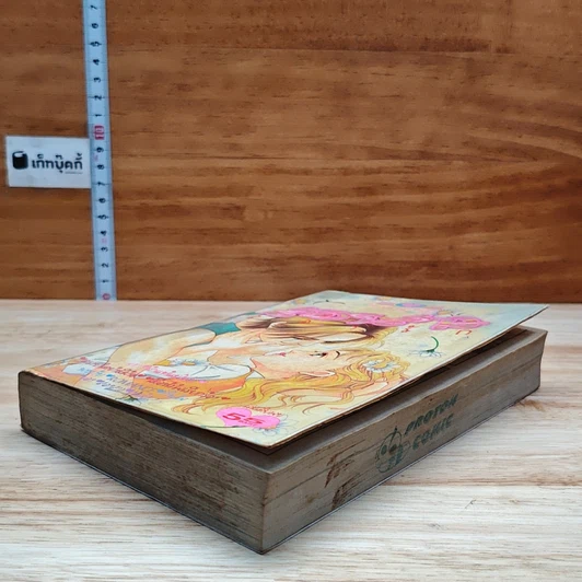 หนังสือ สอนสาวสองรัก รูปที่ 4
