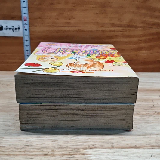 หนังสือ เธอคือนางเอก 2 เล่มจบ รูปที่ 5