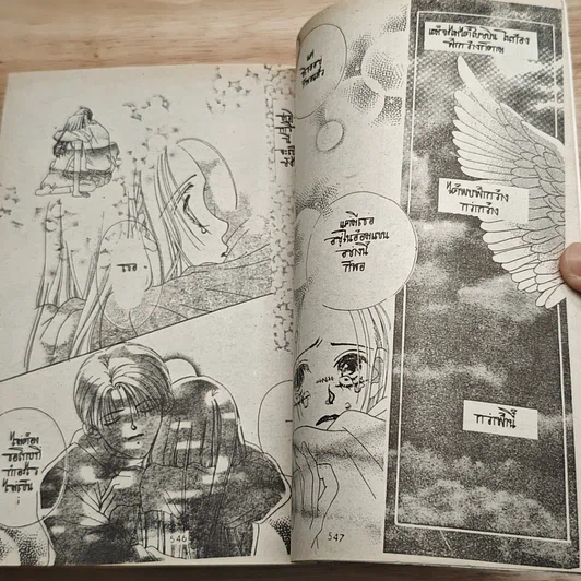 หนังสือ ฝันหวานถึงยอดชาย รูปที่ 8