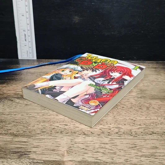 ไฮสคูล DXD เล่ม 1 รูปที่ 4