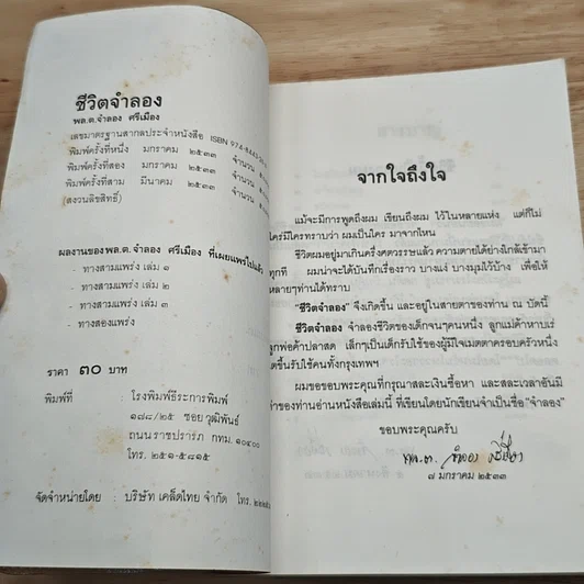 ชีวิตจำลอง รูปที่ 6