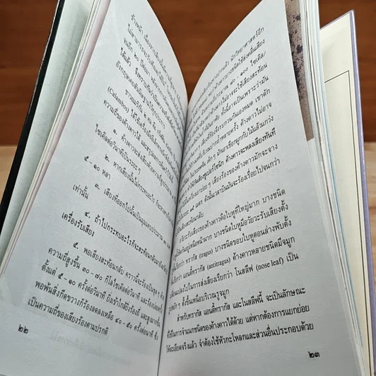 หนังสือ ค้างคาว รูปที่ 7