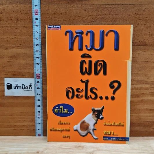 หมาผิดอะไร รูปที่ 1