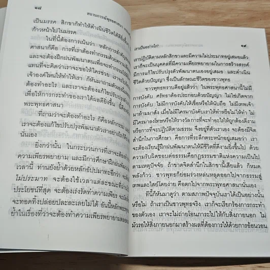 สถานการณ์พระพุทธศาสนา : กระแสไสยศาสตร์ รูปที่ 7