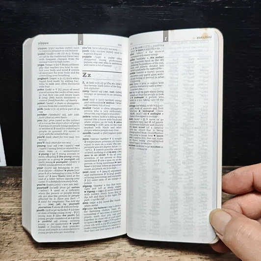 Oxford Learner's Pocket Dictionary New Edition รูปที่ 8