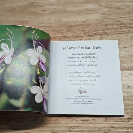 สถิตในใจไทยทั่วหล้า สมเด็จย่าของแผ่นดิน รูปที่ 8