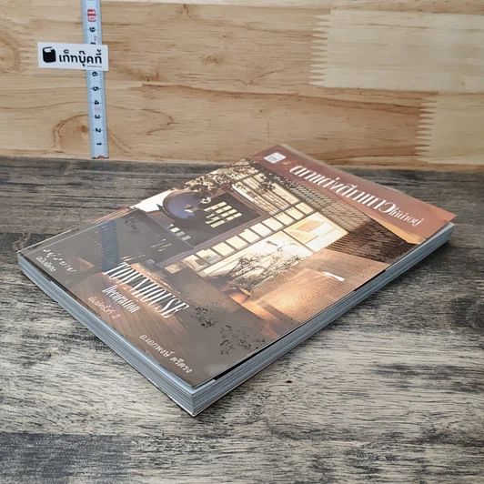 หนังสือ ตกแต่งตึกแถวให้น่าอยู่ รูปที่ 3