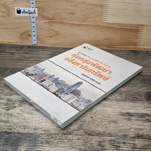 หนังสือ หุ้นกลุ่มพัฒนาอสังหาริมทรัพย์ รูปที่ 3