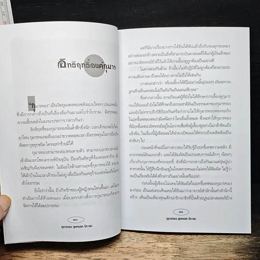 กุมารทอง ลูกกรอก รัก-ยม รูปที่ 8