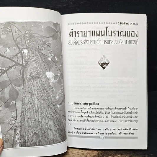 หนังสือ ยาไทยแผนโบราณ รูปที่ 10