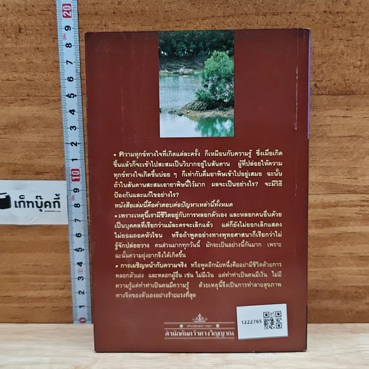 สุขภาพจิต รูปที่ 2