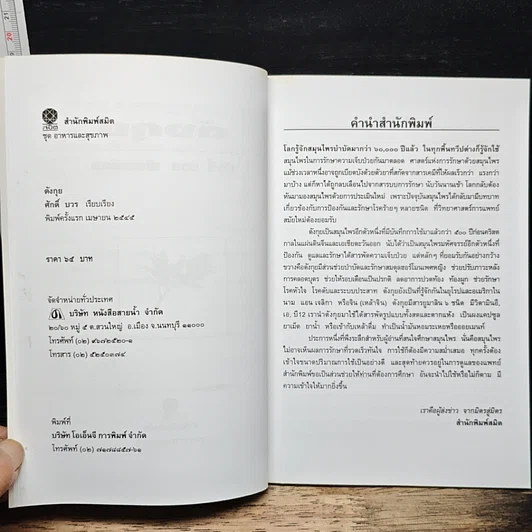 ตังกุย รูปที่ 6