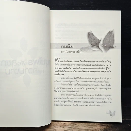 หนังสือ สมุนไพรเพื่อสุขภาพและความงาม รูปที่ 8