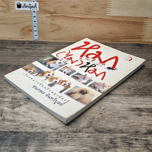 หนังสือ หมา (ไม่) หมา รูปที่ 3