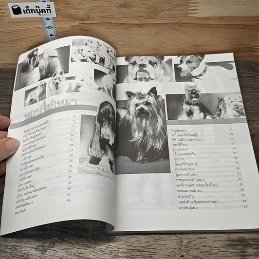 หนังสือ หมา (ไม่) หมา รูปที่ 7