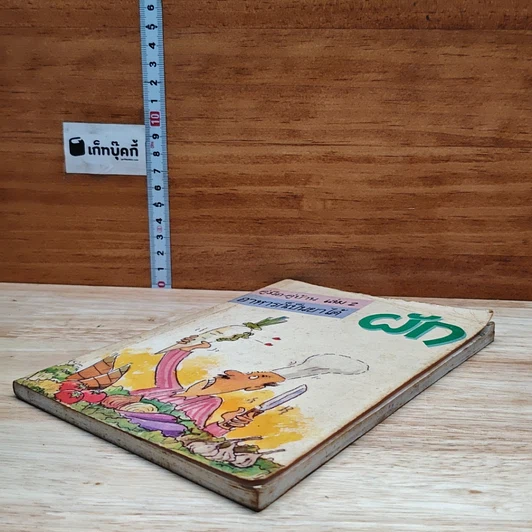 คู่มือ-คู่บ้าน เล่ม 2 ผัก อาหารก็เป็นยาได้ รูปที่ 4