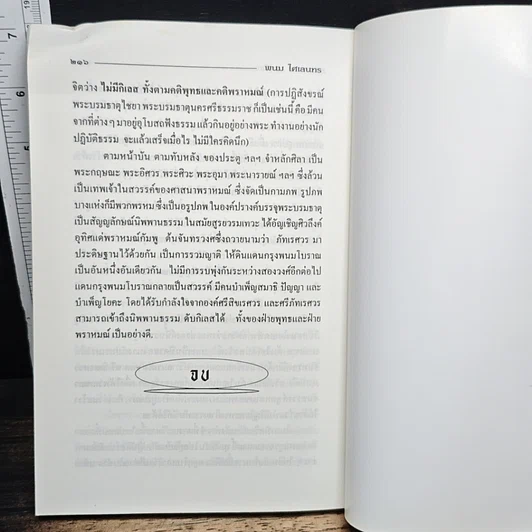 หนังสือ พนม ไศเลนทร ประวัติศาสตร์ไทยก่อนสมัยสุโขทัย รูปที่ 10