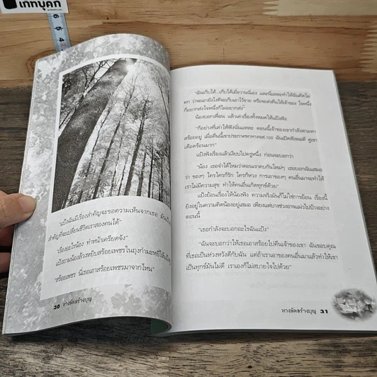 ทางลัดสร้างบุญ รูปที่ 9