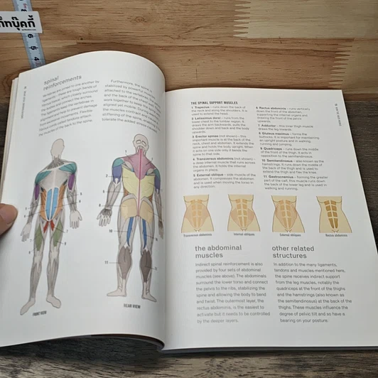 หนังสือ Back Care Basics รูปที่ 7