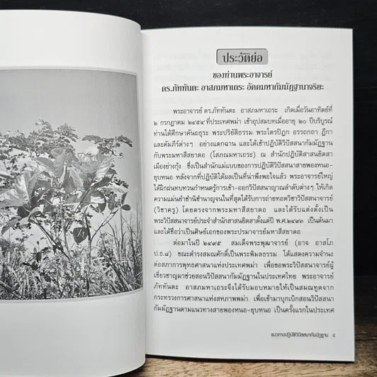 The Practice of Vipassanā Meditation For The Development of Mindfulness รูปที่ 9