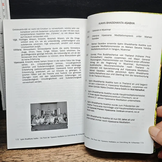 The Practice of Vipassanā Meditation For The Development of Mindfulness รูปที่ 10