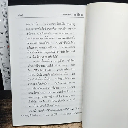อาณาจักรศรีวิชัยที่ไชยา รูปที่ 9