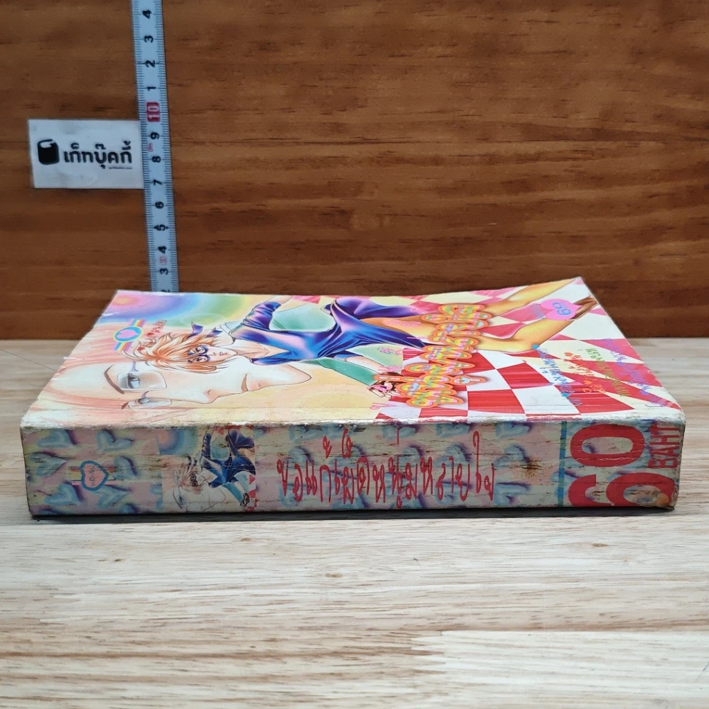 หนังสือ ขอแก้เผ็ดหนุ่มหลายใจ เล่มเดียวจบ รูปที่ 3