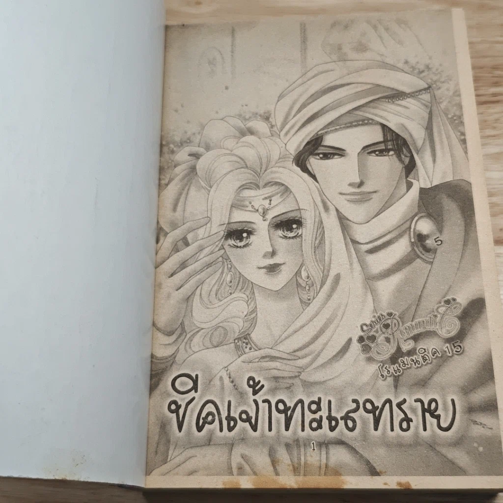 Series Romantic โรแมนติค 15 ซีรีส์ เจ้าทะเลทราย รูปที่ 6