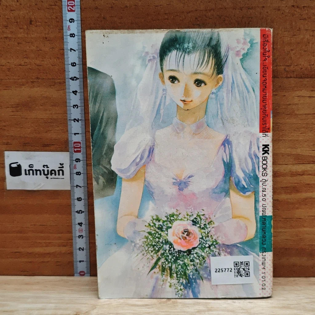 หนังสือ Virgin Blue อดีตรักในความทรงจำ เล่มเดียวจบ รูปที่ 2