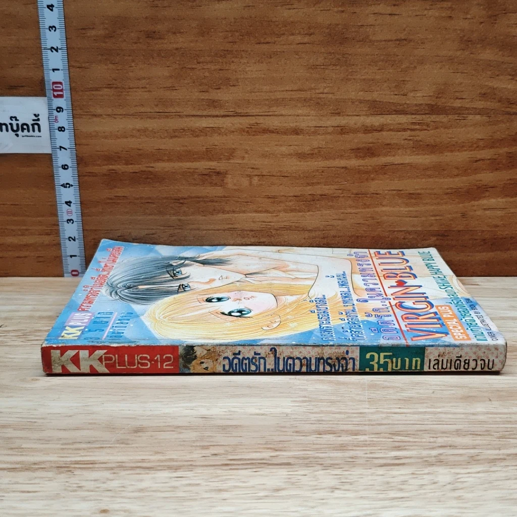 หนังสือ Virgin Blue อดีตรักในความทรงจำ เล่มเดียวจบ รูปที่ 3
