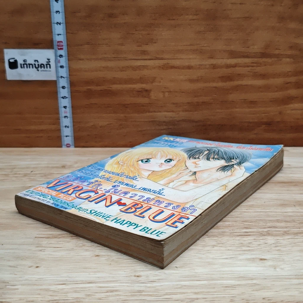 หนังสือ Virgin Blue อดีตรักในความทรงจำ เล่มเดียวจบ รูปที่ 4