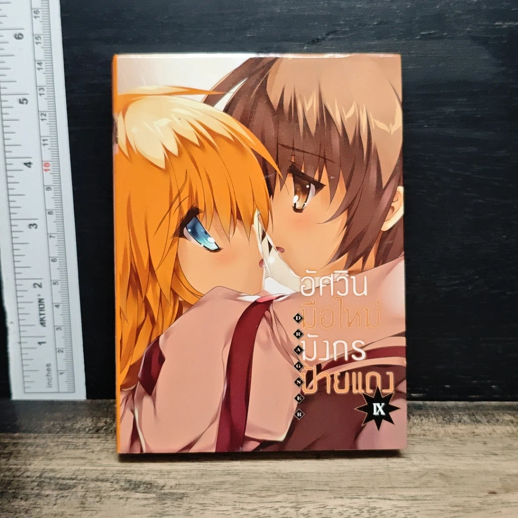 อัศวินมือใหม่ มังกรป้ายแดง เล่ม 9 รูปที่ 1