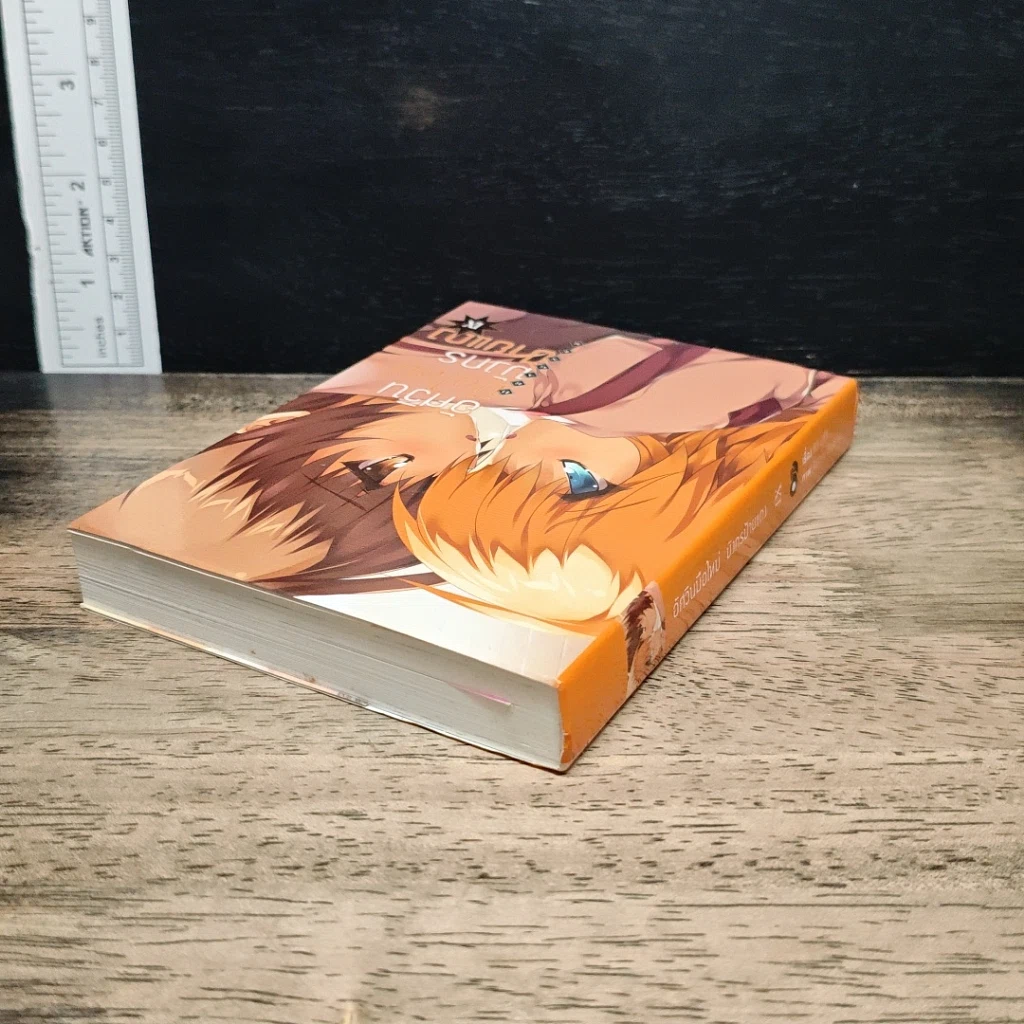 อัศวินมือใหม่ มังกรป้ายแดง เล่ม 9 รูปที่ 4