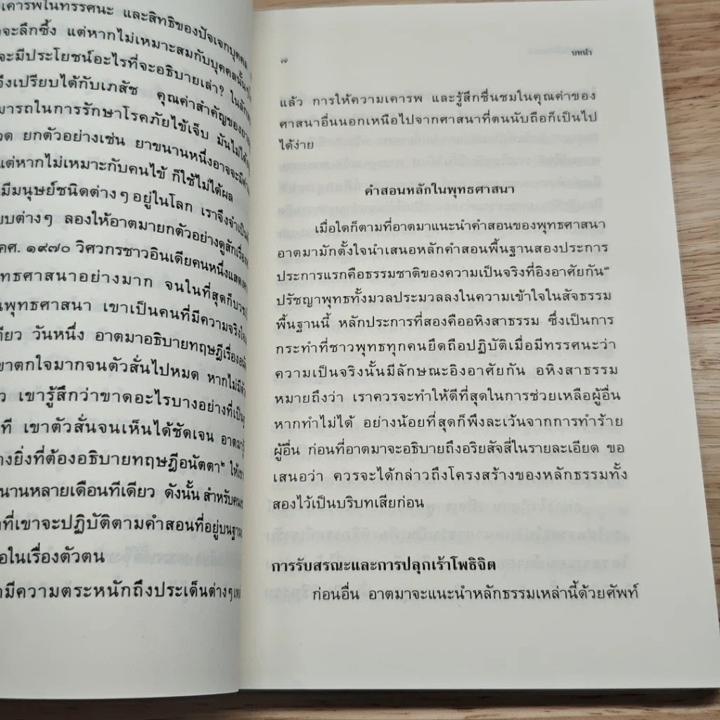ความจริงสี่ประการ คำสอนพื้นฐานในพุทธศาสนา รูปที่ 8
