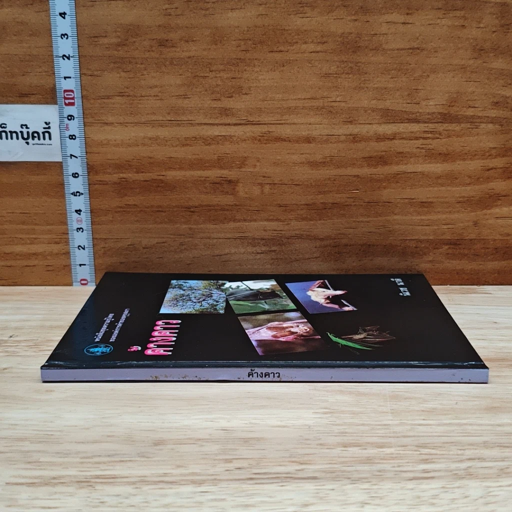 หนังสือ ค้างคาว รูปที่ 3