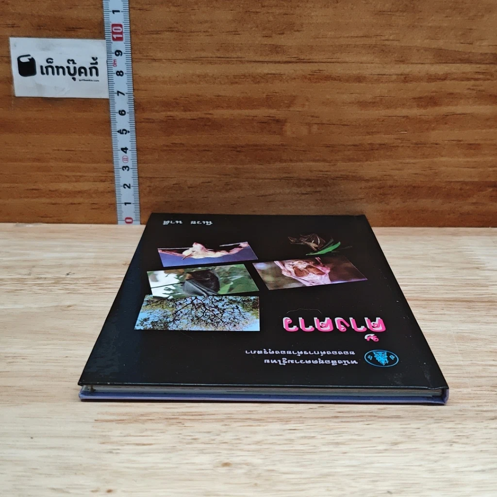 หนังสือ ค้างคาว รูปที่ 5