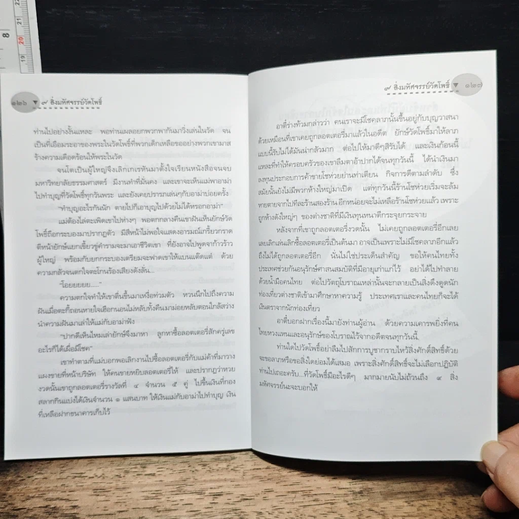 9 สิ่งมหัศจรรย์วัดโพธิ์ รูปที่ 9