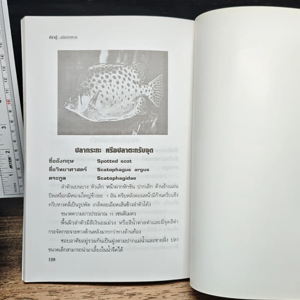 หนังสือ คู่มือสำหรับนักเลี้ยงปลาตู้มือใหม่ ปลาตู้ ฉบับปลาทะเล รูปที่ 10