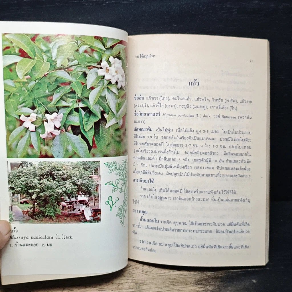 หนังสือ การใช้สมุนไพร เล่ม 1 รูปที่ 9